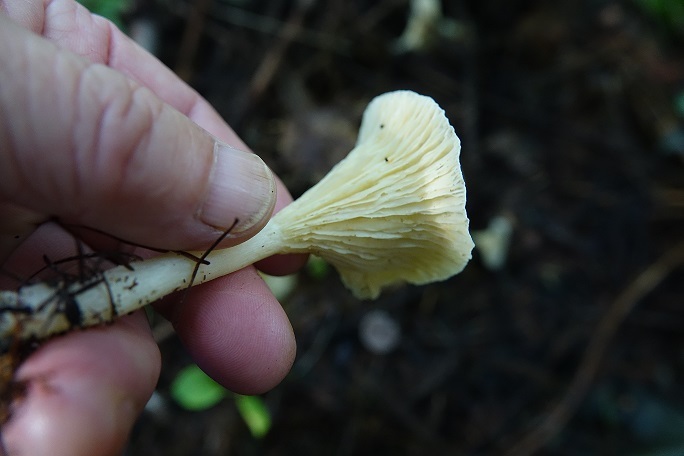 f0360815_15225410.jpg