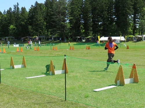c0084117_19542715.jpg