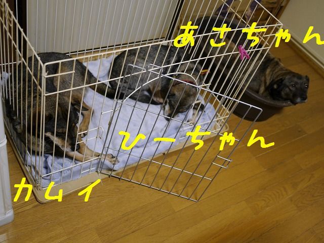 f0282319_15054740.jpg