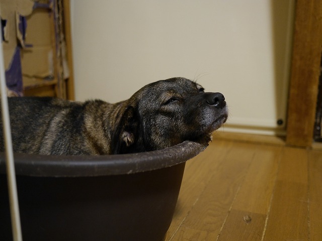 f0282319_15060899.jpg