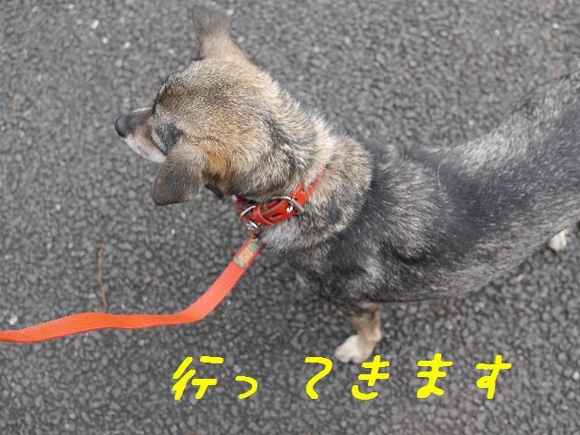 f0282319_15085801.jpg