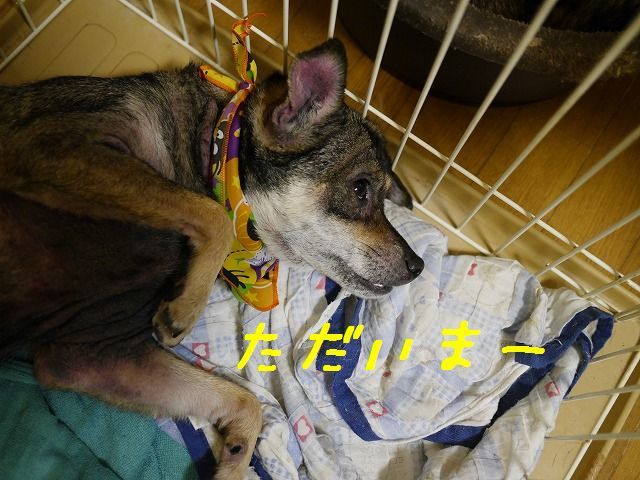 f0282319_15091799.jpg