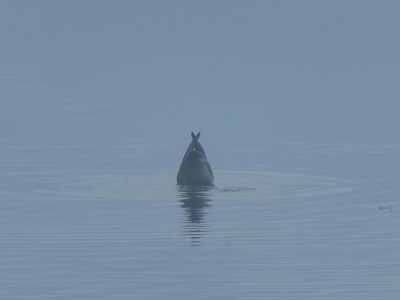 c0227720_22290267.jpg