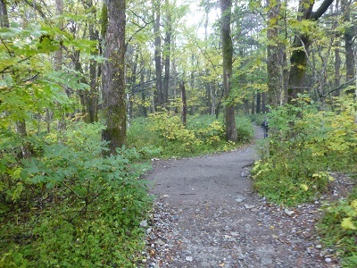 c0227720_22362111.jpg