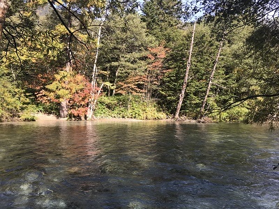 c0227720_22392925.jpg