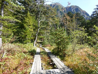 c0227720_22493897.jpg