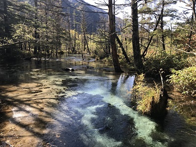 c0227720_22495367.jpg