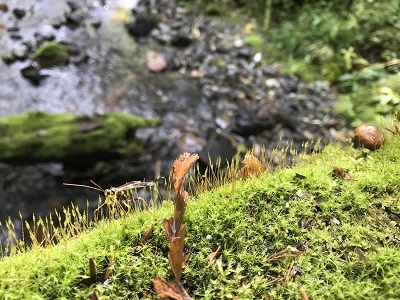 c0227720_22521638.jpg