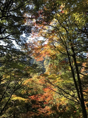 c0227720_22532255.jpg