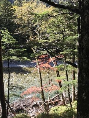 c0227720_22533674.jpg