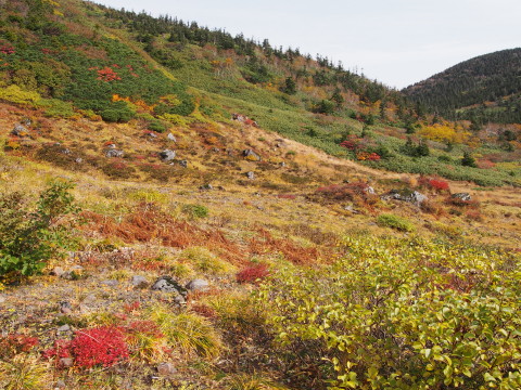 八甲田の紅葉(青森市)*2017.10.08_b0147224_15214521.jpg
