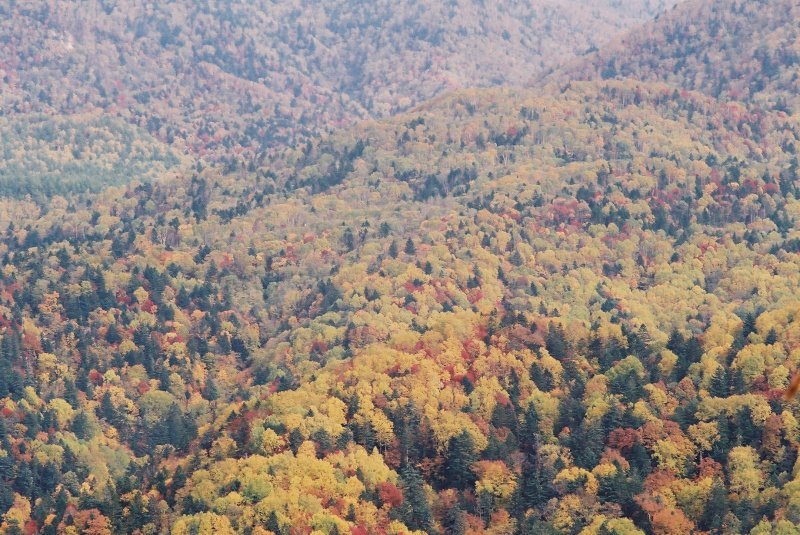 f0362725_16565270.jpg