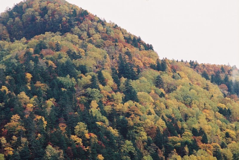 f0362725_16573525.jpg