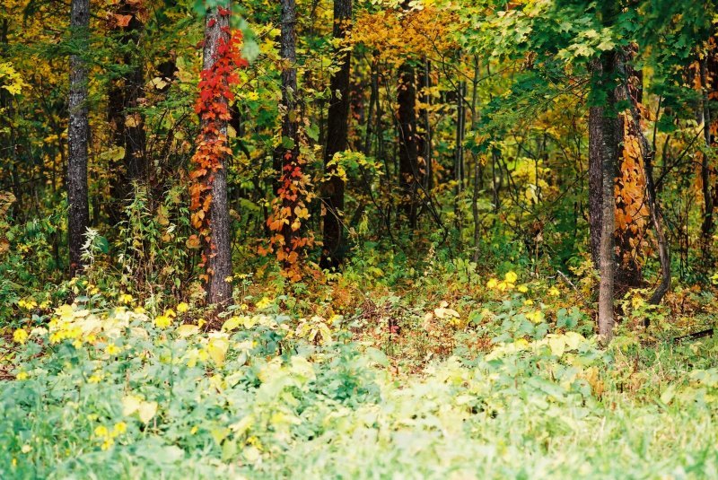 f0362725_16591962.jpg
