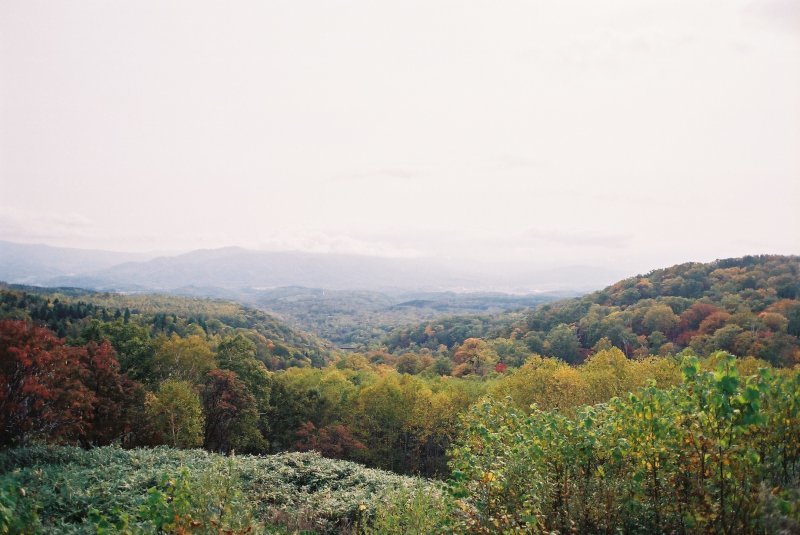 f0362725_17035835.jpg