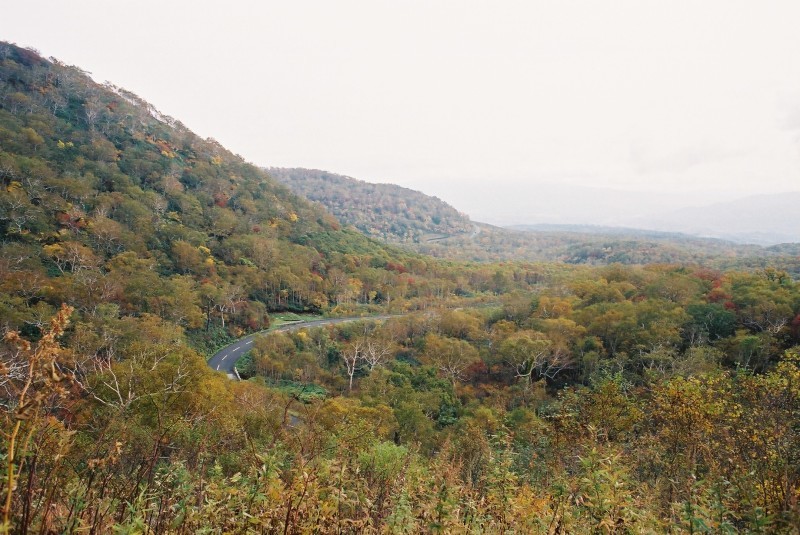 f0362725_17044703.jpg
