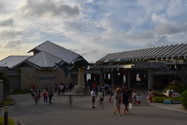 b0312126_23264628.jpg