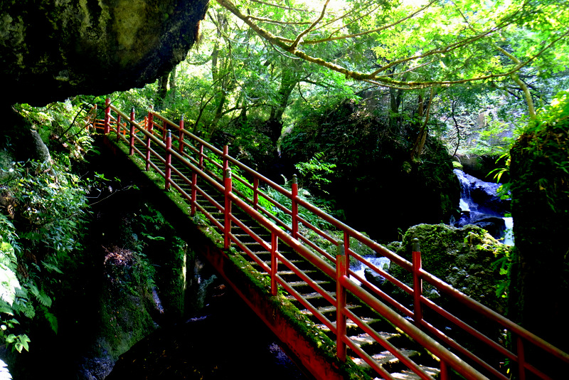 「富山・絶景ツアー　上市町 大岩山日石寺の森林セラピー」_a0000029_0233314.jpg