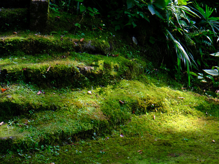 「富山・絶景ツアー　上市町 大岩山日石寺の森林セラピー」_a0000029_0322071.jpg