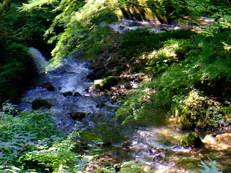 「富山・絶景ツアー　上市町 大岩山日石寺の森林セラピー」_a0000029_049543.jpg