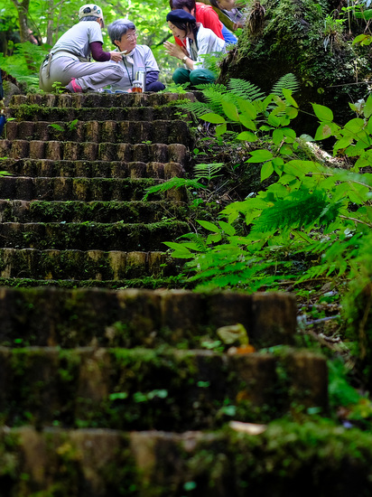 「富山・絶景ツアー　上市町 大岩山日石寺の森林セラピー」_a0000029_057531.jpg