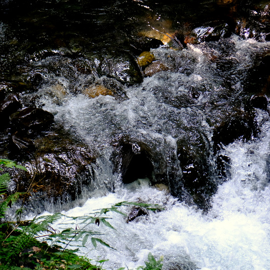 「富山・絶景ツアー 上市町 大岩山日石寺の森林セラピー」_a0000029_124271.jpg