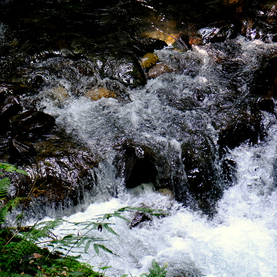 「富山・絶景ツアー　上市町 大岩山日石寺の森林セラピー」_a0000029_124271.jpg