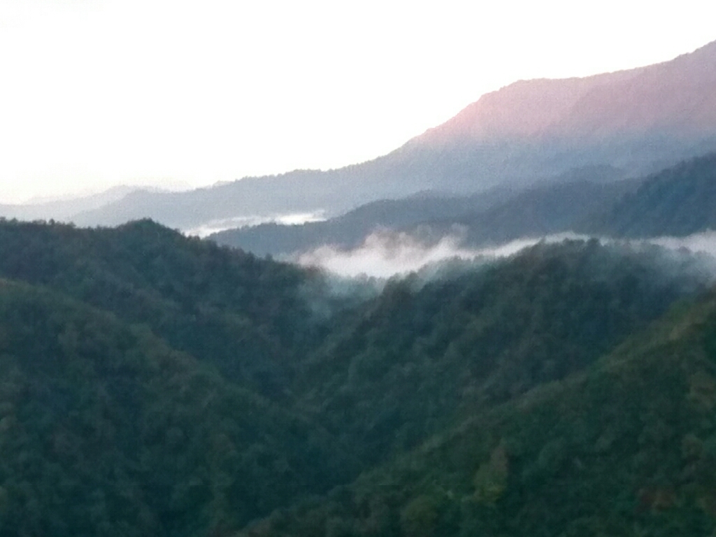 枝折峠の滝雲は見れず_b0237229_13484917.jpg