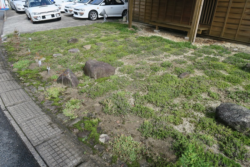BRZの普遍性_f0076731_12332306.jpg