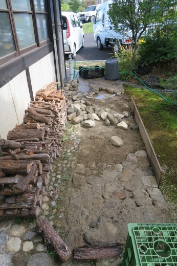 BRZの普遍性_f0076731_12355195.jpg
