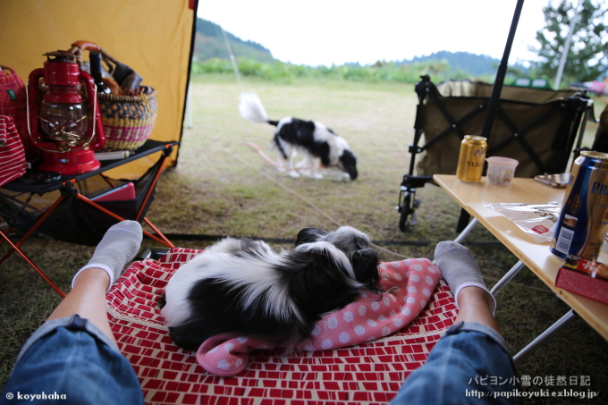 暑いぜ！焼けたぜっ！！なキャンプ＠snow peak 奥日田_d0140234_17395858.jpg