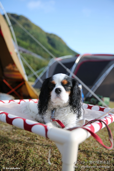 暑いぜ！焼けたぜっ！！なキャンプ＠snow peak 奥日田_d0140234_18061951.jpg