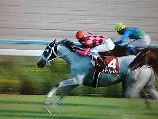 京都大賞典 スマートレイアーで勝つ!_a0009035_165635.jpg