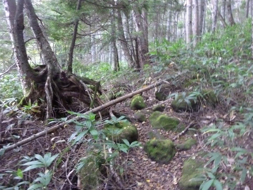 b0298935_21590915.jpg