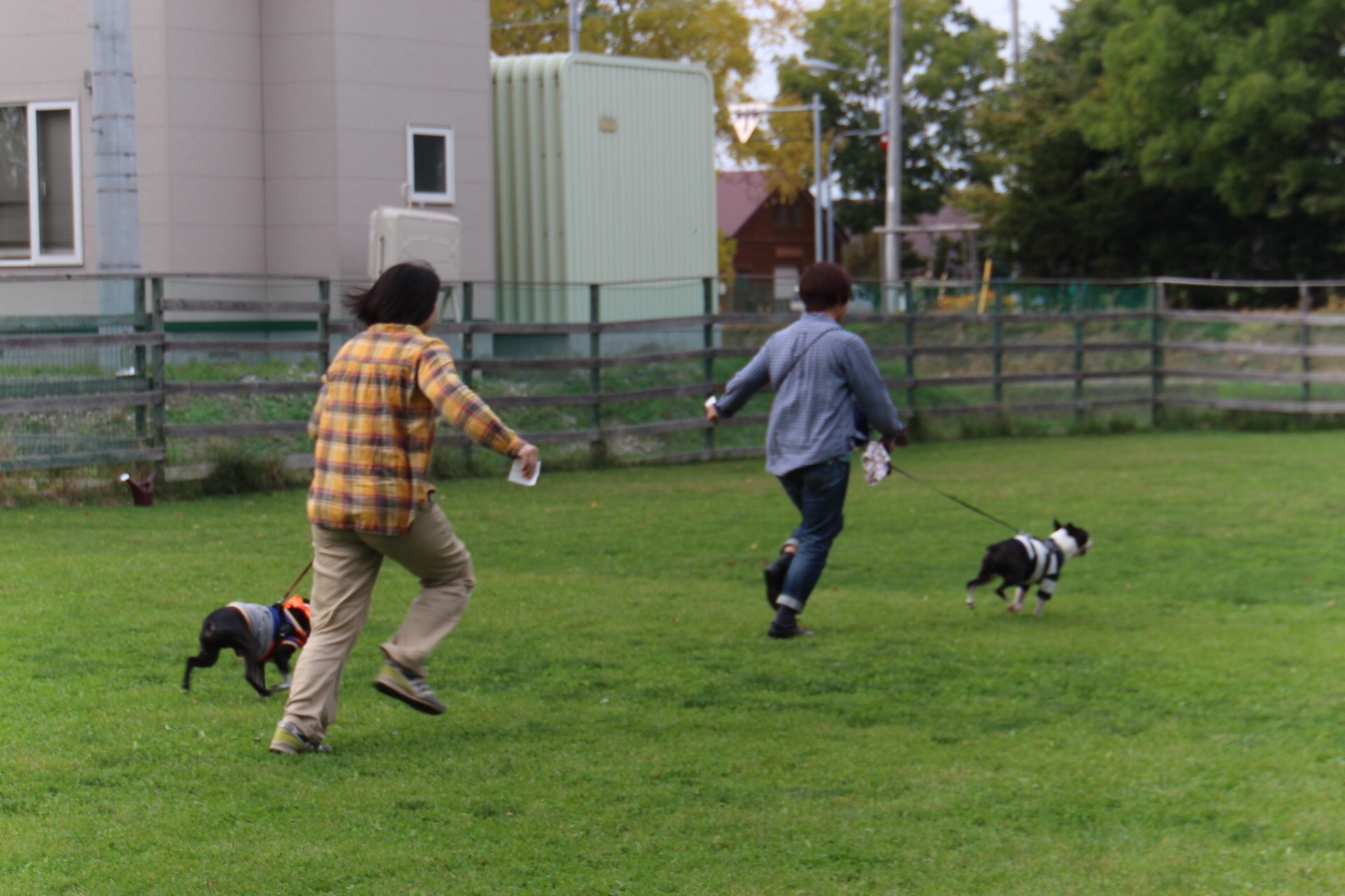 借り犬競争とハロウイン仮装_c0265837_20505959.jpg