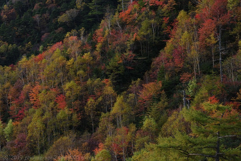 奥日光 金精峠 紅葉 3 日の出_e0362037_21055910.jpg