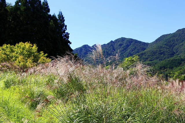 a0242438_17304114.jpg