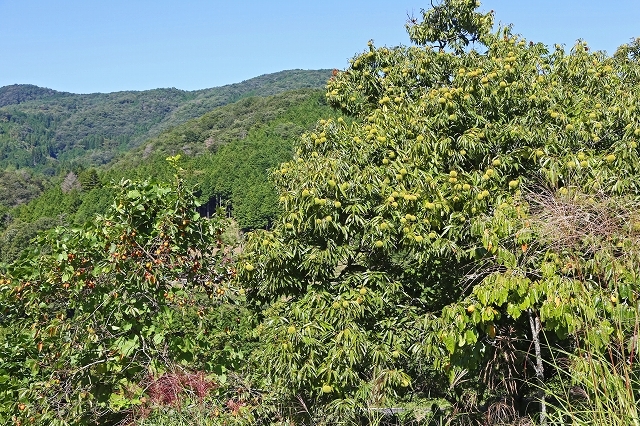 a0242438_17304176.jpg
