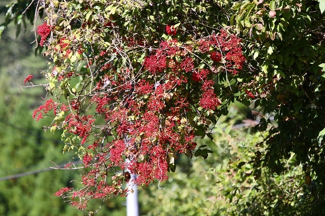 a0242438_17304239.jpg