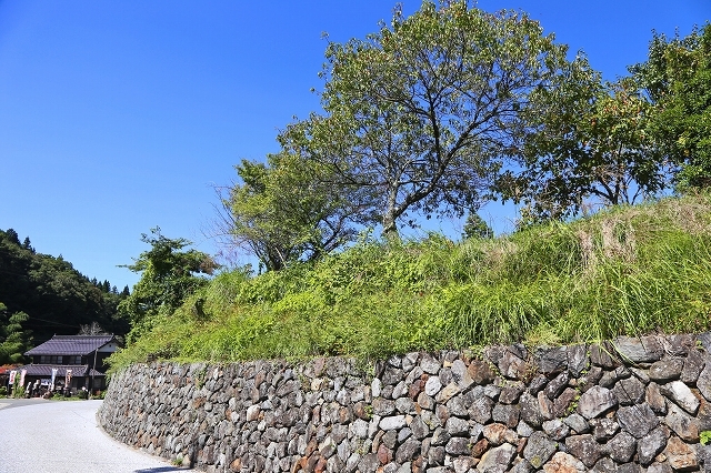 a0242438_17304952.jpg