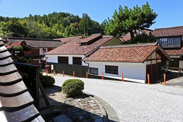 a0242438_17333746.jpg