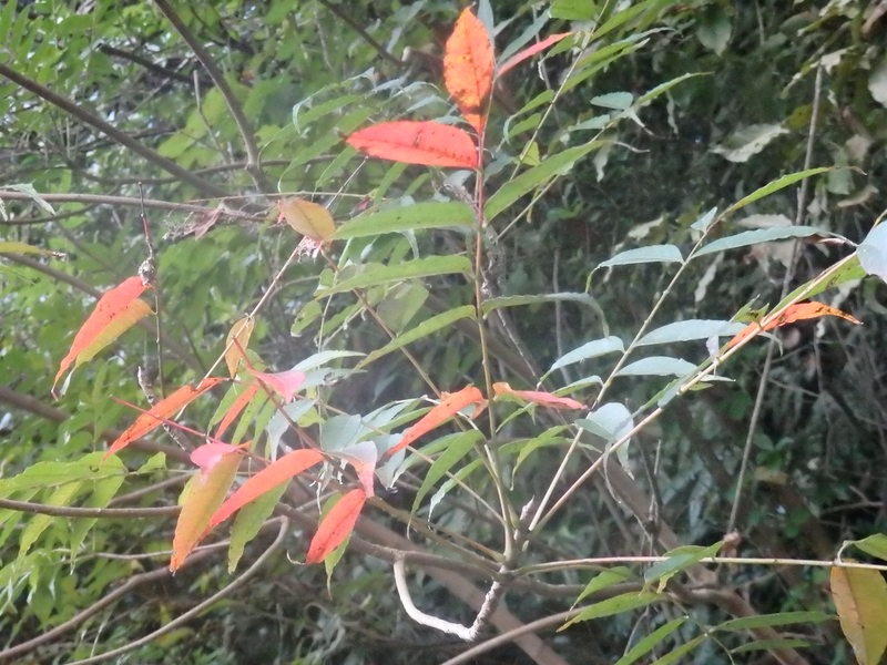 a0054240_227563.jpg