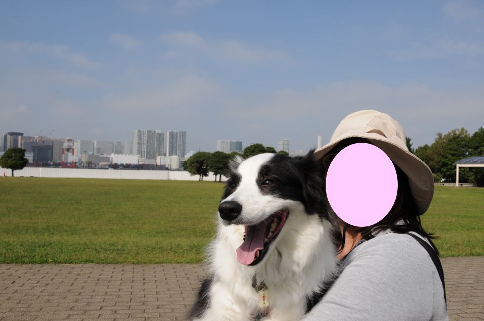 c0147241_18031874.jpg