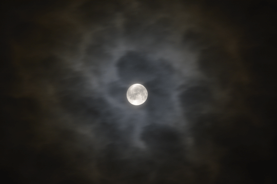 c0093046_17285649.gif