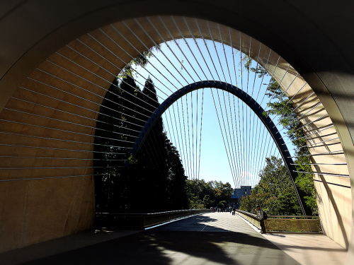 MIHO  MUSEUM_e0292546_08555460.jpg