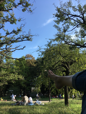 ピクニック 駒沢公園 大人の夏休み 今年も絶賛 満喫中 ピクニック 駒沢公園 大人の夏休み 今年も絶賛 満喫中