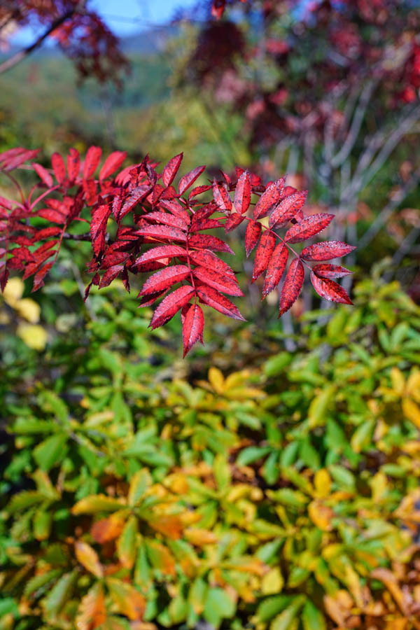 a0324049_20355146.jpg