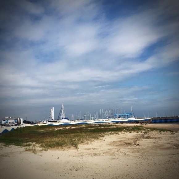c0312349_16171592.jpeg