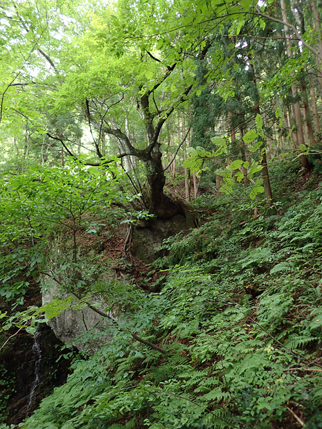 f0214649_04280069.jpg
