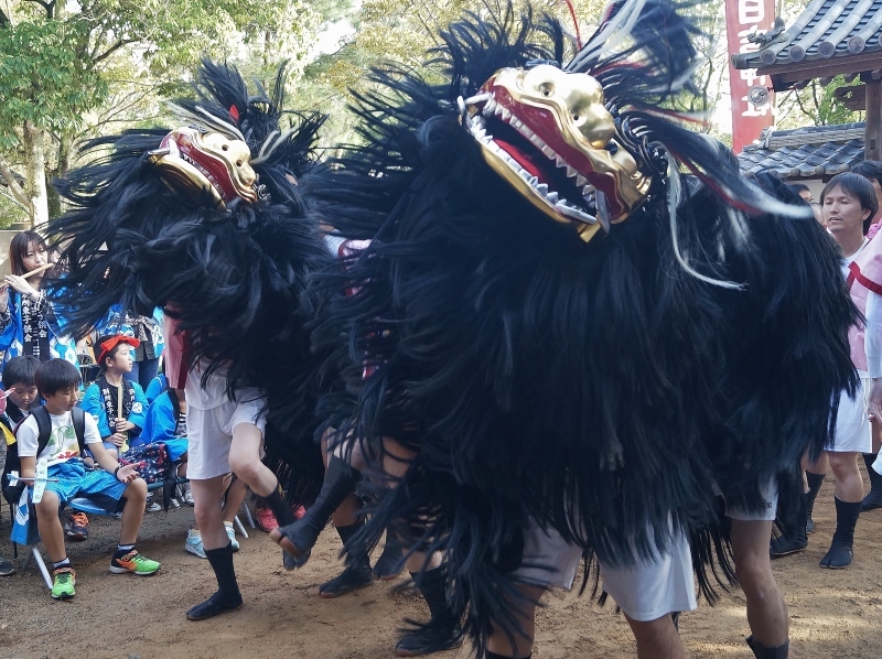 姫路・別所の日吉神社秋祭り（宵宮）（４）児童・若者たちによる毛獅子舞の奉納_b0063958_23100672.jpg